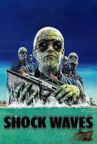 Shock Waves 1977