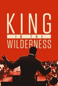 دانلود فیلم King in the Wilderness سال 2018 - پادشاه در برهوت
