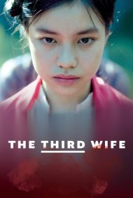 دانلود فیلم The Third Wife سال 2018 - همسر سوم