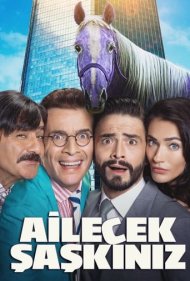 دانلود فیلم Ailecek Saskiniz سال 2018