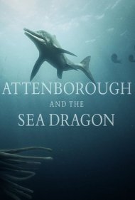 دانلود فیلم Attenborough and the Sea Dragon سال 2018 - اتنبرو و اژدهای دریا