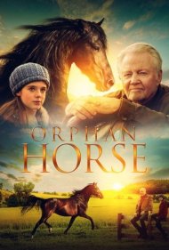 دانلود دوبله فارسی فیلم Orphan Horse سال 2018 - اسب یتیم