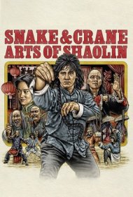 دانلود فیلم Snake & Crane Arts of Shaolin سال 1978 - هنر مار و کلنگ شائولین