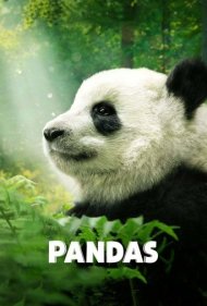 دانلود دوبله فارسی فیلم Pandas سال 2018 - پانداها