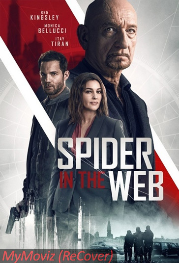 دانلود دوبله فارسی فیلم Spider in the Web سال 2019 - عنکبوتی در تار