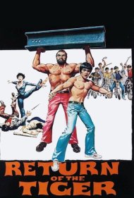 دانلود فیلم Return of the Tiger سال 1977 - بازگشت اژدها