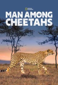 Man Among Cheetahs 2017
