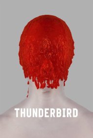 دانلود فیلم Thunderbird سال 2019 - مرغ توفان