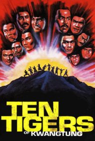 دانلود فیلم Ten Tigers of Kwangtung سال 1979 - ده ببر کوانگتونگ