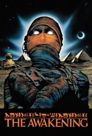 The Awakening 1980