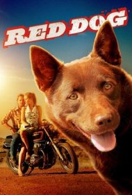 دانلود فیلم Red Dog سال 2011 - سگ قرمز