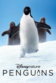 دانلود دوبله فارسی فیلم Penguins سال 2019 - پنگوئن