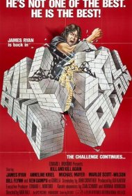 دانلود فیلم Kill and Kill Again سال 1981 - بکش و باز هم بکش