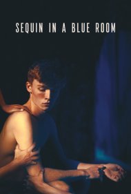 دانلود فیلم Sequin in a Blue Room سال 2019 - پسری پولکی در اتاق آبی