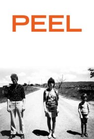 Peel 1983