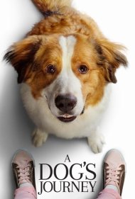 دانلود دوبله فارسی فیلم A Dog's Journey سال 2019 - سفر یک سگ