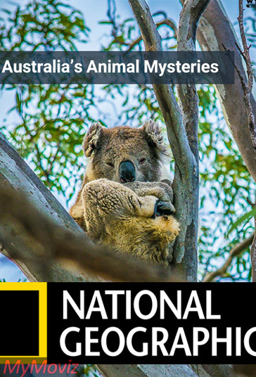 دانلود دوبله فارسی فیلم Australia's Animal Mysteries سال 1984 - اسرار جانوران استرالیا