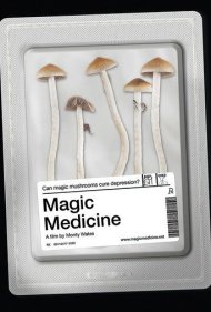 دانلود فیلم Magic Medicine سال 2018 - داروی جادویی