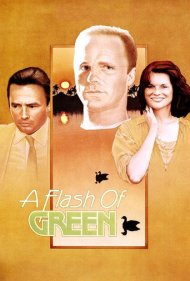 دانلود فیلم A Flash of Green سال 1984 - درخشش سبز