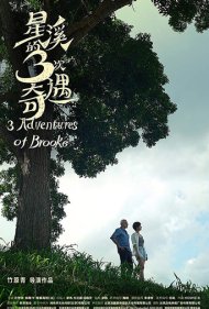 دانلود فیلم Three Adventures of Brooke سال 2019 - سه ماجراجویی بروک