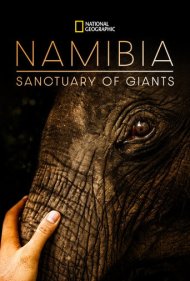 دانلود فیلم Namibia, Sanctuary of Giants سال 2017 - نامیبیا، پناهگاه غولها