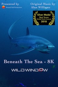 دانلود فیلم Wild Window: Beneath the Sea سال 2018 - پنجره وحش: زیر دریا
