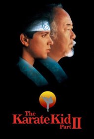 دانلود دوبله فارسی فیلم The Karate Kid Part II سال 1986 - پسر کاراته 2