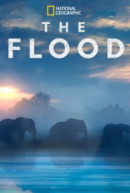 دانلود فیلم The Flood سال 2018 - سیلاب