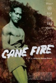 دانلود فیلم Cane Fire سال 2020 - آتش نیشکر