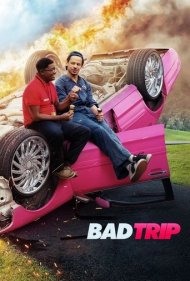 دانلود فیلم Bad Trip سال 2020 - سفر بد