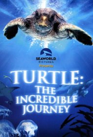 Turtle: The Incredible Journey 2009