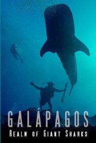 Galapagos Realm Of Giant Sharks 2012