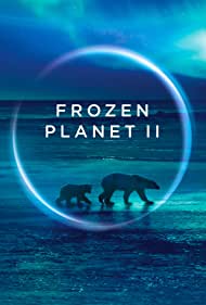 دانلود فیلم Frozen Planet II سال 2022 - سیاره یخ‌ زده 2