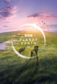 دانلود دوبله فارسی فیلم Planet Earth III سال 2023 - سیاره زمین 3