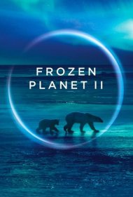 دانلود فیلم Frozen Planet II سال 2022 - سیاره یخ‌ زده 2
