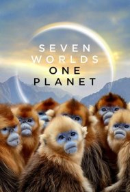 دانلود فیلم Seven Worlds, One Planet سال 2019 - هفت جهان در یک زمین