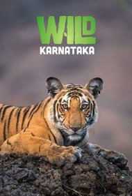 دانلود فیلم Wild Karnataka سال 2020 - حیات وحش کارناتاکا