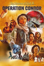 Operation Condor 1991
