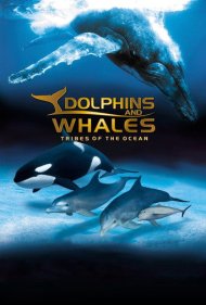 دانلود فیلم IMAX Dolphins and Whales: Tribes of the Ocean سال 2008 - دلفینها و نهنگهای آیمکس: قبایل اقیانوس