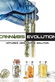 Cannabis Evolution 2019